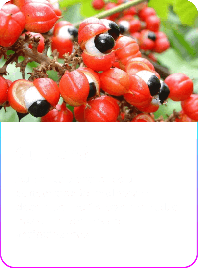 Guarana-1-1.png